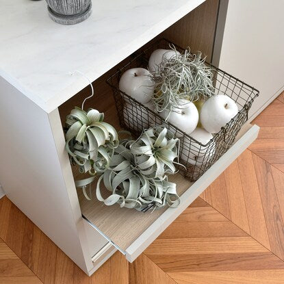 Marble-look countertop (appliance storage type)