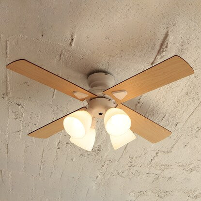 Simple design ceiling fan (white)