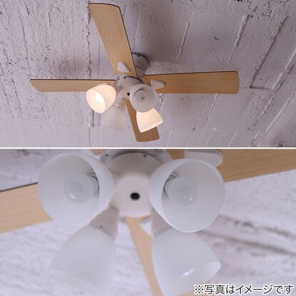 Simple design ceiling fan (white)