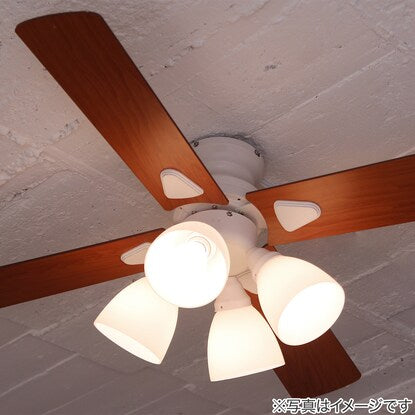 Simple design ceiling fan (white)