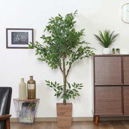 Cool-looking fake greenery (Ficus 160cm)