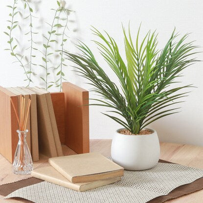 Refreshing fake greenery (palm in ceramic pot)