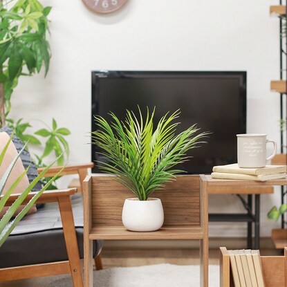 Refreshing fake greenery (palm in ceramic pot)