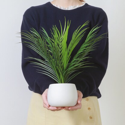 Refreshing fake greenery (palm in ceramic pot)