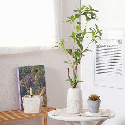 Fake greenery with a beautiful vertical silhouette (Osmanthus fragrans in a ceramic pot)