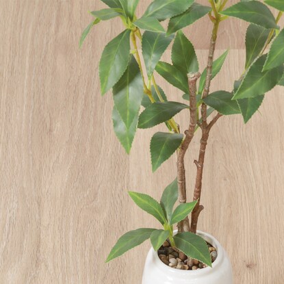 Fake greenery with a beautiful vertical silhouette (Osmanthus fragrans in a ceramic pot)