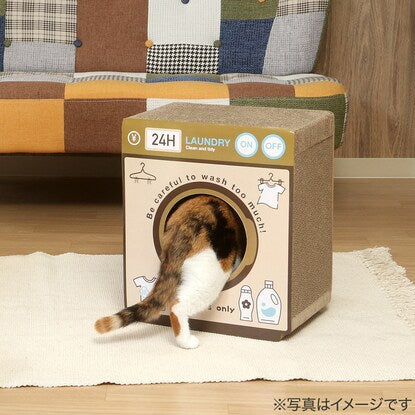 Cat scratching post Laundry