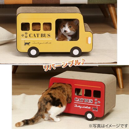 猫の爪とぎ ロンドンバス