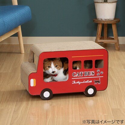 猫の爪とぎ ロンドンバス