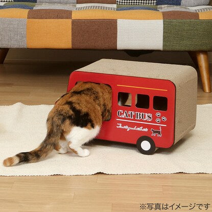 Cat Scratching Post London Bus