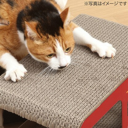 猫の爪とぎ ロンドンバス