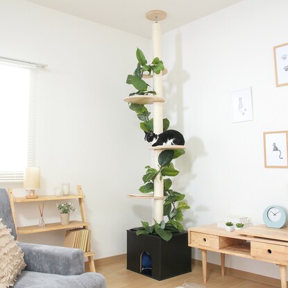 Healing Cat Tower - Tension Type (Sora)