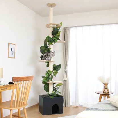 Healing Cat Tower - Tension Type (Sora)