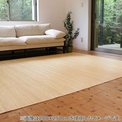 Wisteria carpet Java 140 x 200 cm