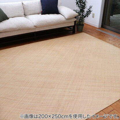 Rattan carpet (Ajiro weave) Hourei Edo-style 2 tatami mats