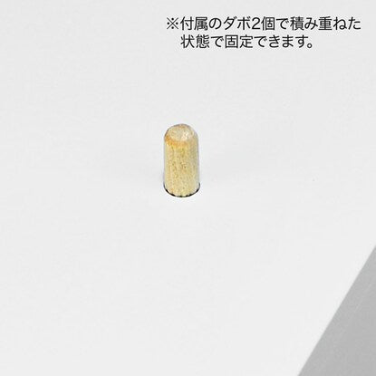 A4サイズ対応 同人誌ラック（扉付きタイプ）