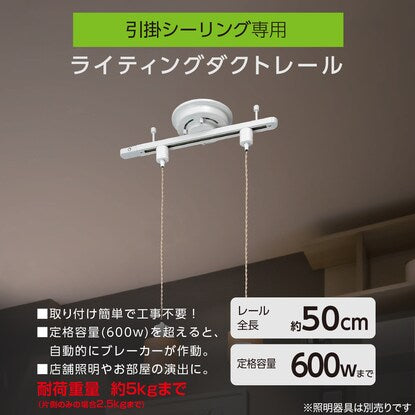 シーリング直付けダクトレール（50cm ホワイト LRD501）