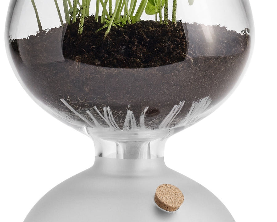 GAIA Plant Glass ガイアプラントグラス