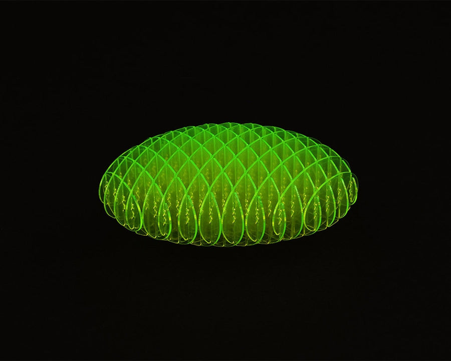 MORF WORM モ−フワ−ム フィジェットトイ 12×12
