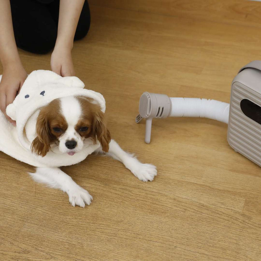 Clothes and futon dryer