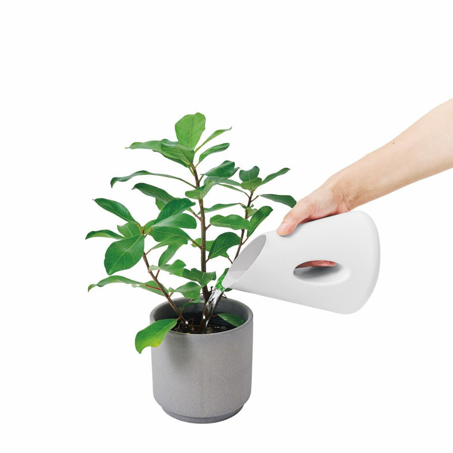 Flower Jug Vase 500ml