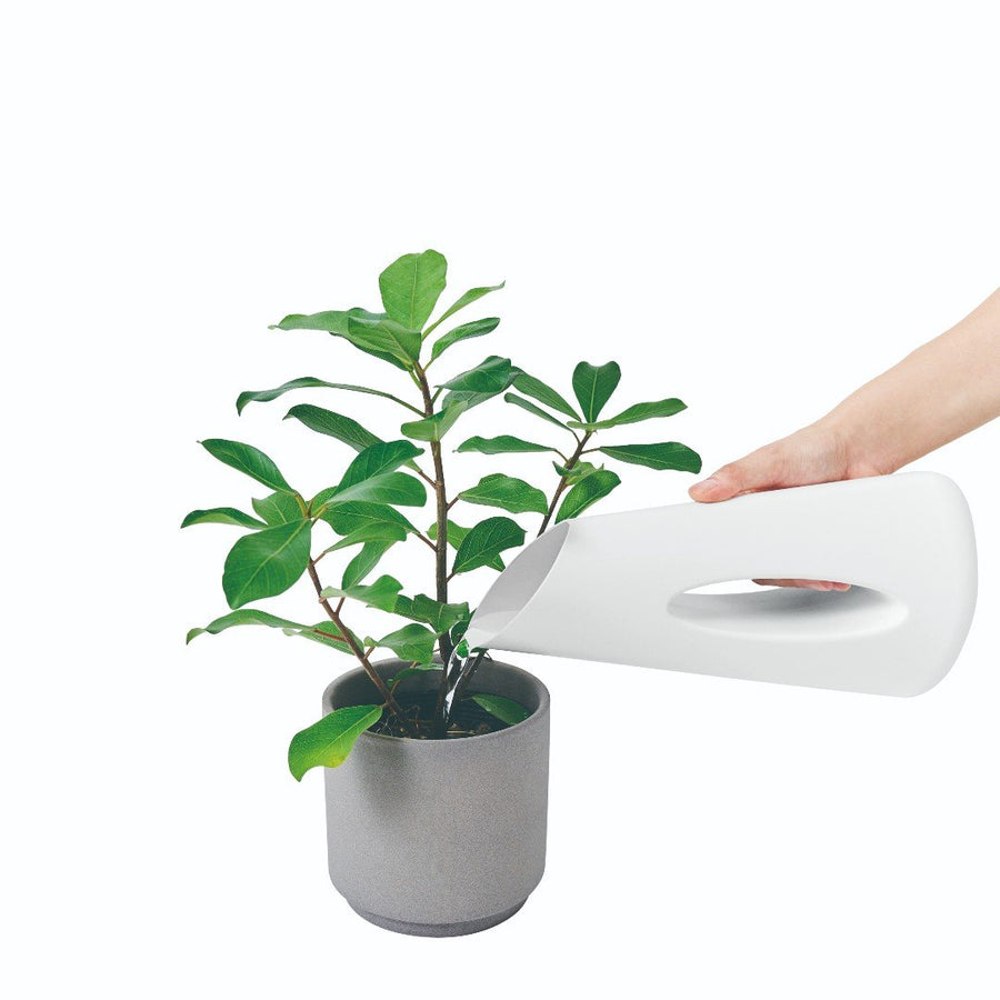 Flower Jug Vase 1000ml