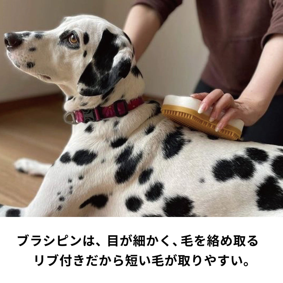 ペットのブラシ グルッテ 短毛種 ミディアム マスタードイエロー