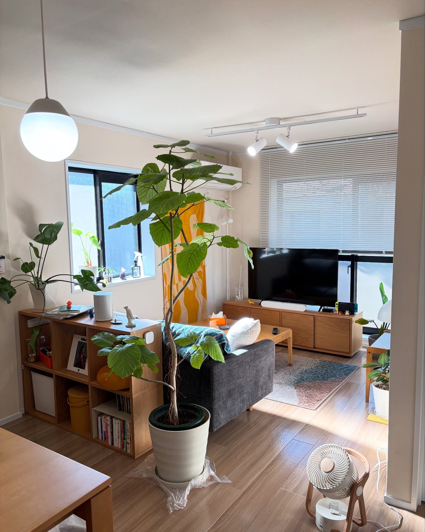 無印良品(MUJI) スタッキングシェルフセット・3段×2列・オーク材