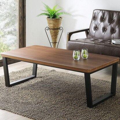 Center table (HCT width 120cm WN)