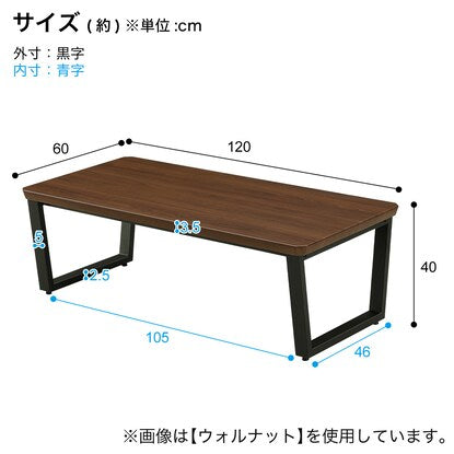 Center table (HCT width 120cm CR)