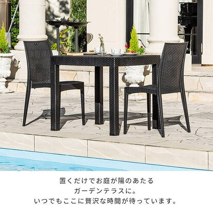 Rattan style garden chairs, set of 2 without armrests (PXY)