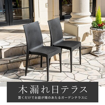 Rattan style garden chairs, set of 2 without armrests (PXY)