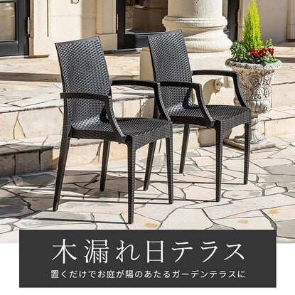 Rattan style garden chair with armrests, set of 2 (PXY)