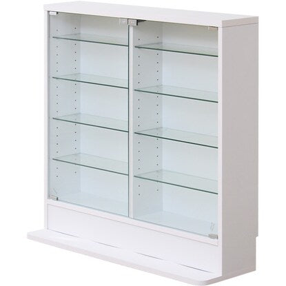 Collection rack (shallow low type WH)