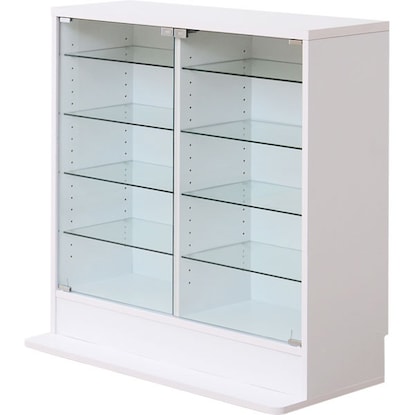 Collection rack (deep low type WH)