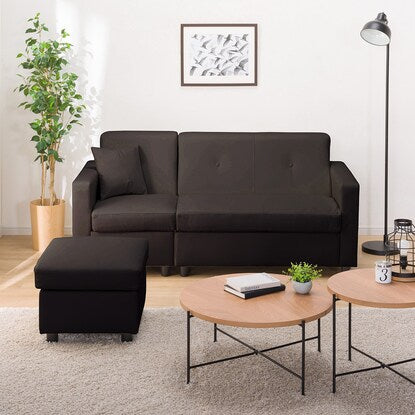 Compact pocket coil couch sofa (N-Shield DBR)