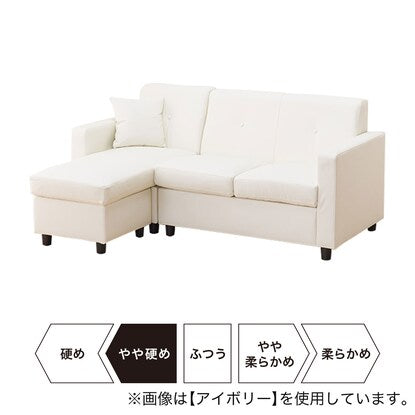 Compact pocket coil couch sofa (N-Shield DBR)