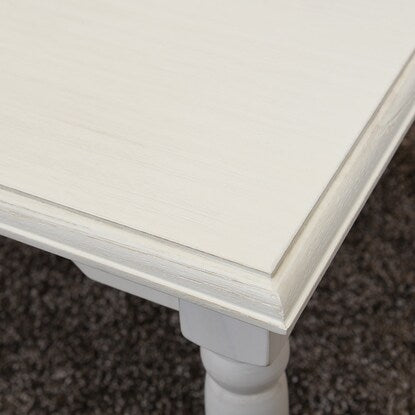 Adult-cute white shabby compact center table (rectangle)