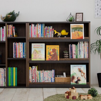 Brooklyn Style Stackable Picture Book Display Rack (BR)