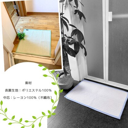Water Absorption Master Smooth Mat Neo (60 x 100 cm, Blue)