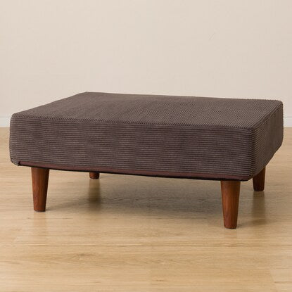 Compact couch sofa (CE01 DGY)