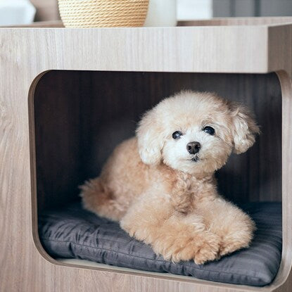 France Pet Pet House Side Table