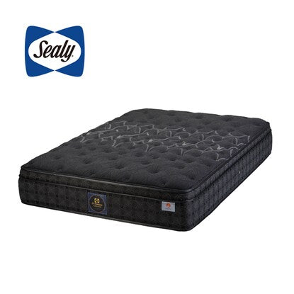 Sealy Single Mattress (Titanium Collection Evans III)