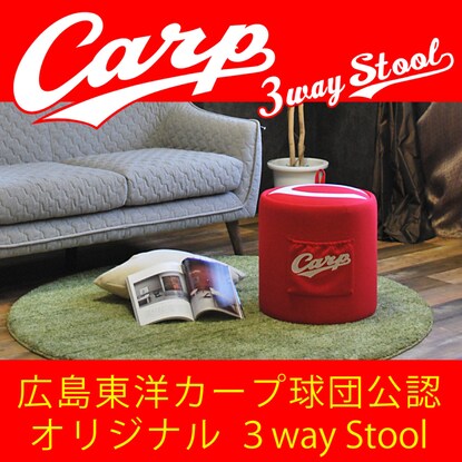 Carp-approved 3-way stool