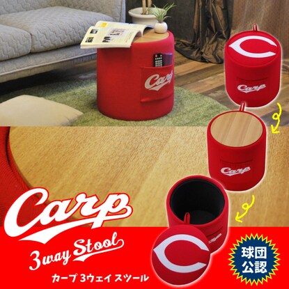 Carp-approved 3-way stool