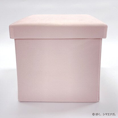 I'm a long-tailed tit. Storage stool (pink)