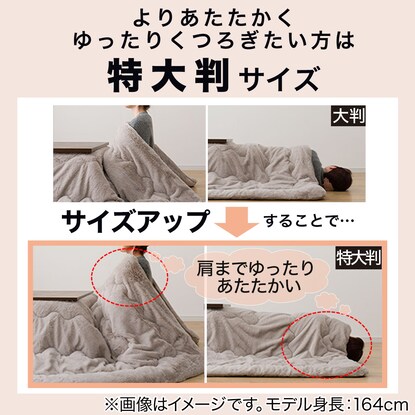 Kotatsu with extension legs (Takumi 120 NA)