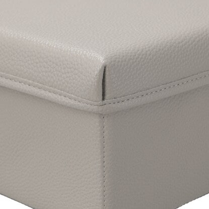 Storage box (quarter size, gray NT-338)