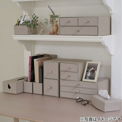 Desk Organizer (NT344)