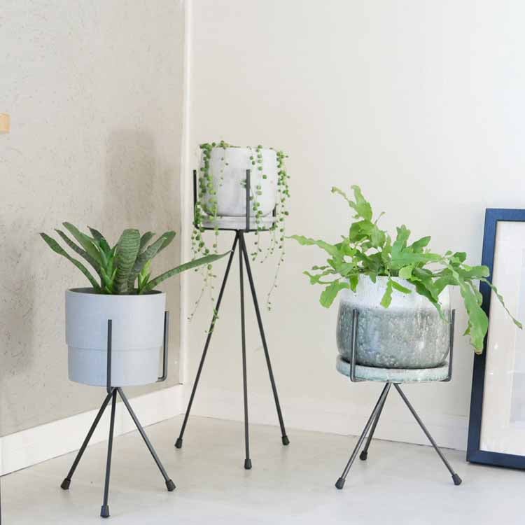 Tripod Stand Black Small